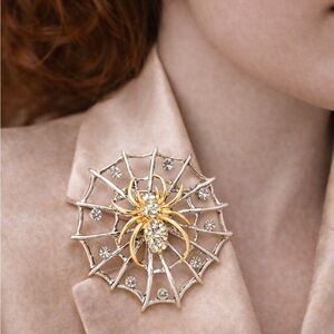 Spider Web Silver Crystal Brooch